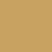 4 x 4  1 Sepia Solid Color Filter