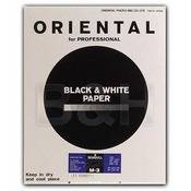 Seagull Black & White Graded #3 RC (Resin Coated) Matte Paper   20 x 24 (10 Sheets)