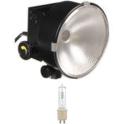 DP Focus Flood Light, Bulb (120 240VAC)