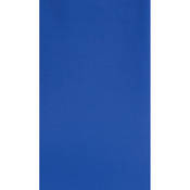 Muslin Background   10x24    #027 Chroma Key Blue