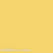 Permacolor Glass Filter   Yellow   8 1 4  Round
