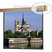 72799 Designer Electrol Cambridge Motorized Projection Screen (70 x 70 )