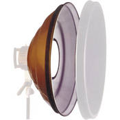 Beauty Dish  Grid Reflector   22