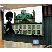 Ultimate Access Series E Motorized Screen (52x92 )