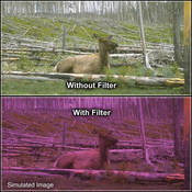 4 x 5  2 Plum Solid Color Filter