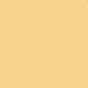 4 x 4  4 Coral Solid Color Filter