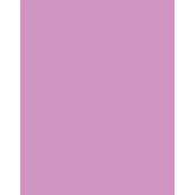 3 x 4  CC40M Magenta Filter