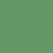 Widetone Seamless Background Paper (26  x 12yd, #35 Holly)