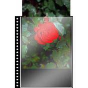 Cristal Laser Sheet Protectors   16 x 20    Ten Pack