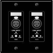 RAD 3 2 Gang Wall Plate with 2 Line Inputs (Black)