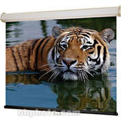 206036 Luma 2 Manual Front Projection Screen (10x10 )
