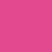 #343 Neon Pink Fluorescent Sleeve T12 (48 )
