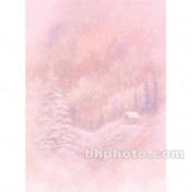 Muslin Xcanvas Background   10x20    Winter Cabin
