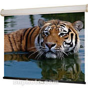 206028 Luma 2 Manual Front Projection Screen (60x60 )