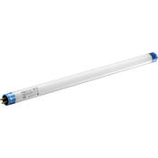 True Match Fluorescent Lamp   8 Watts 5500K   12  Uncoated