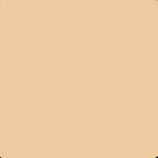 6.6 x 6.6  Nude FX 1 Filter