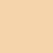 #08 Pale Gold Fluorescent Sleeve T12 (48 )