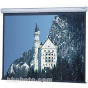 90543 Model C Front Projection Screen (6x8 )