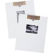 Mat   Fits Gallery Frame, 16x20  Mat with 8x10  Opening, Centered