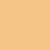 4 x 4  1 Tangerine Solid Color Filter