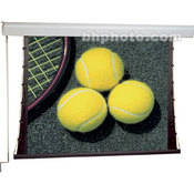 201060 Silhouette Series C Manual Projection Screen (96 x 96 )