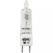 EPL Lamp   250 watts 30 volts