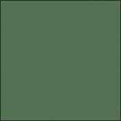 Permacolor Glass Filter   Primary Green   6.3  Round