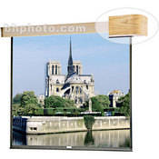 85042 Designer Electrol Motorized Front Projection Screen (96 x 96 )