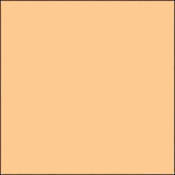 GCA365  GamColor Colored Cine Filter #365 (Warm Straw) (24 x50  Roll)