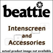 Intenscreen for Camerz Zii    Plain Matte