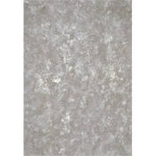 12x20  Muslin Background   Allegro