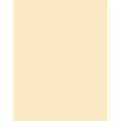5 x 6  1 Coral Solid Color Filter