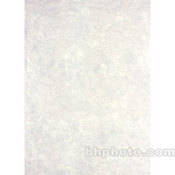 Europa Muslin Background   12x12    Snowcap
