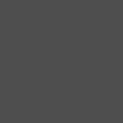 E Colour #299 1.2 Neutral Density (48 x25  Roll)