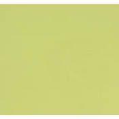 Color Printing Filter Acetate Yellow  0.10   12 x 14