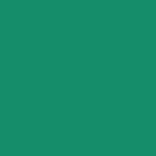 E Colour #124 Dark Green (48 x25  Roll)