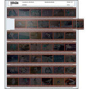 Archival Storage Page for Negatives, 35mm, 7 Strips of 6 Frames   100 Pack