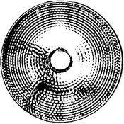 Standard #1 Reflector for DP Light