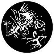 Standard Steel Gobo #7790   Paint Splatter
