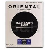 Seagull Black & White Graded #2 RC (Resin Coated) Matte Paper   8 x 10 (20 Sheets)