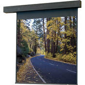 115048 Rolleramic Motorized Projection Screen (16 x 16 )