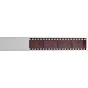 Proline Roll Film Continuous Roll Sleeving   35mm   Perforated Every 36 Exposures   200 Strips