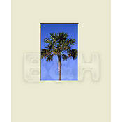 Mat   Fits Gallery and Presentation Frames, 11x14  with 5x7  Opening, Antique White with Bevel   Centered