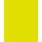 4x5  Deep Yellow #15 Glass Filter for Black & White Film