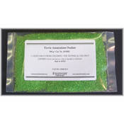 Ferric Ammonium Oxalate   100g