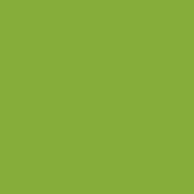 #86 Pea Green Fluorescent Sleeve T12 (48 )