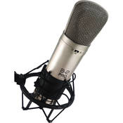 B 2 Pro   Large Diaphragm Multi Pattern Studio Condenser Microphone