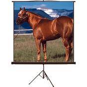 SC T100D43 Tripod Front Projection Screen (60x80 )