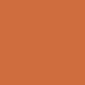Permacolor Glass Filter   Medium Orange   8 1 4  Round