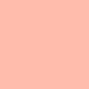 #304 Pale Apricot Fluorescent Sleeve T12 (48 )